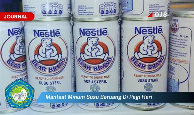 manfaat minum susu beruang di pagi hari