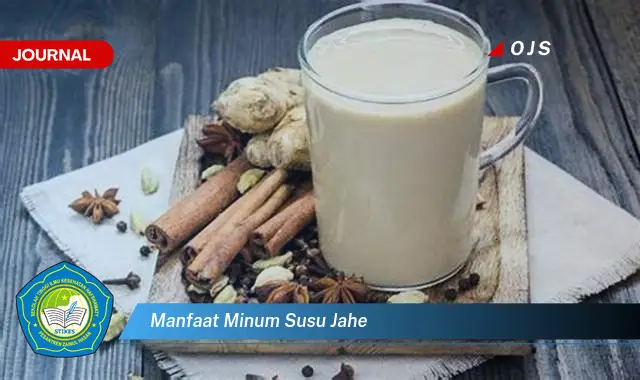 manfaat minum susu jahe