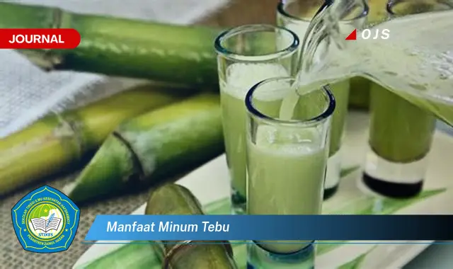 manfaat minum tebu manfaat minum tebu