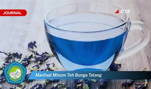 manfaat minum teh bunga telang manfaat minum teh bunga telang