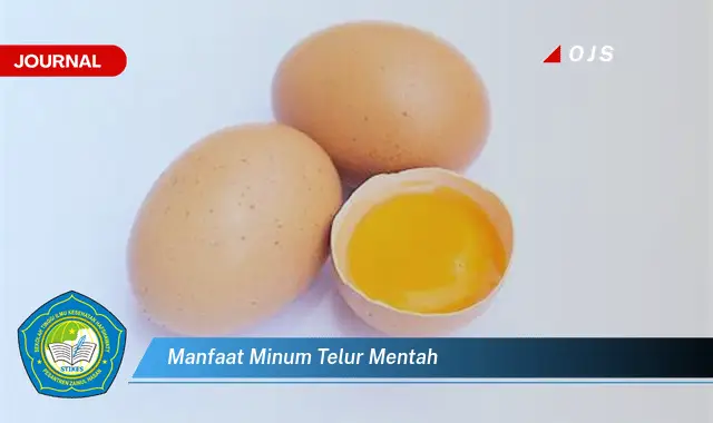 manfaat minum telur mentah