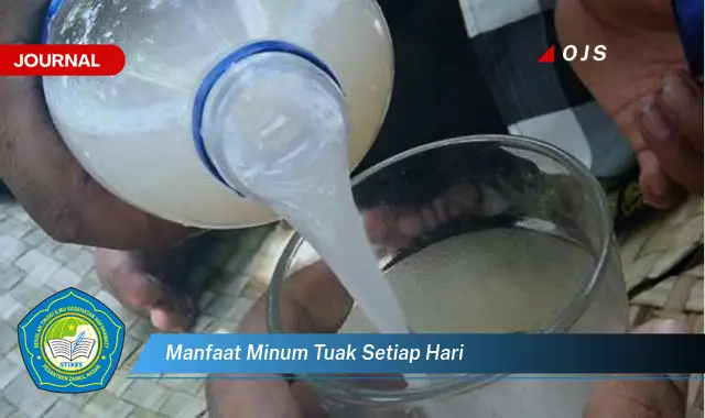 manfaat minum tuak setiap hari