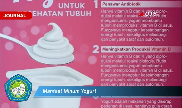manfaat minum yogurt manfaat minum yogurt