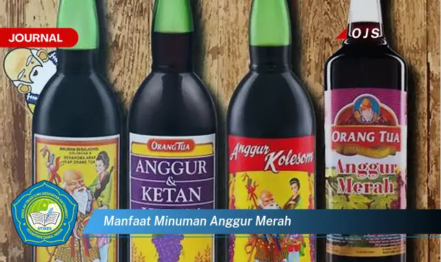 manfaat minuman anggur merah