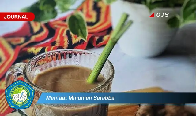 manfaat minuman sarabba manfaat minuman sarabba