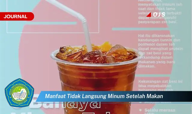 manfaat tidak langsung minum setelah makan