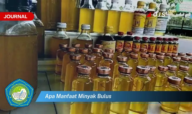apa manfaat minyak bulus
