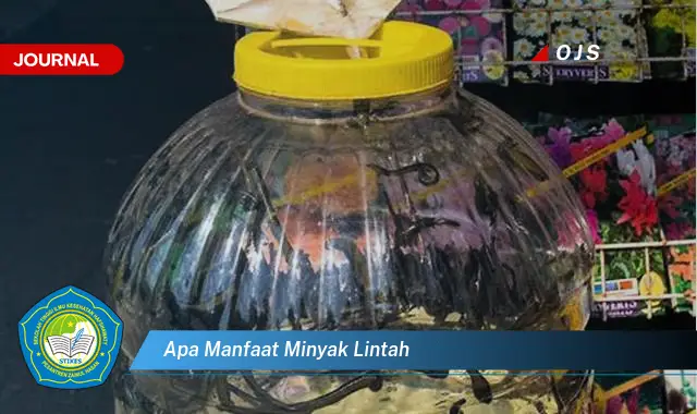 apa manfaat minyak lintah