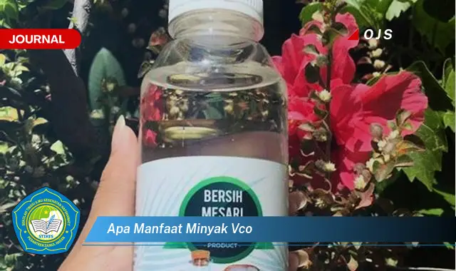 apa manfaat minyak vco