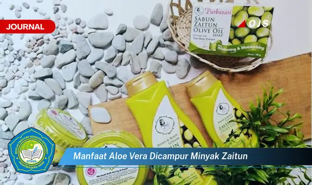 manfaat aloe vera dicampur minyak zaitun