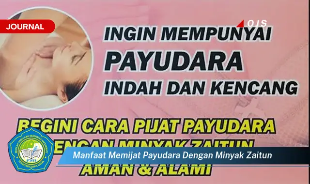 manfaat memijat payudara dengan minyak zaitun