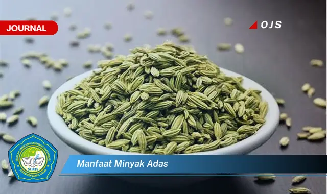 manfaat minyak adas manfaat minyak adas