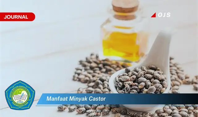 manfaat minyak castor