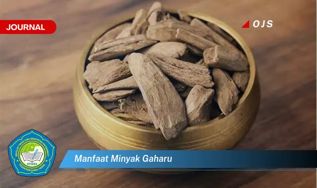 manfaat minyak gaharu manfaat minyak gaharu