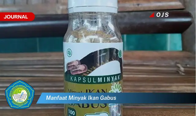 manfaat minyak ikan gabus