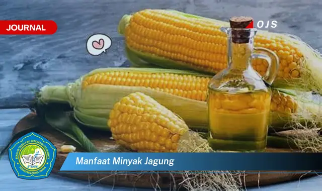 manfaat minyak jagung