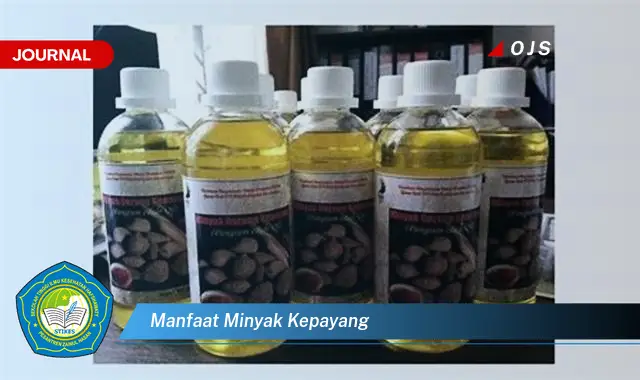 manfaat minyak kepayang