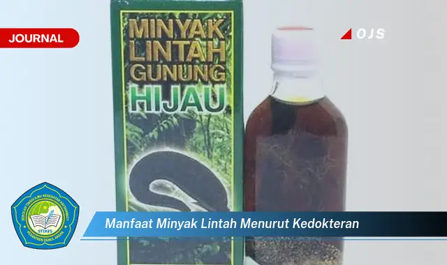 manfaat minyak lintah menurut kedokteran manfaat minyak lintah menurut kedokteran