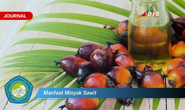 manfaat minyak sawit manfaat minyak sawit