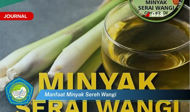 manfaat minyak sereh wangi manfaat minyak sereh wangi