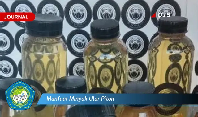 manfaat minyak ular piton