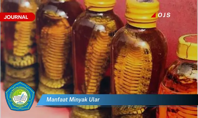 manfaat minyak ular manfaat minyak ular