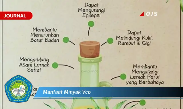 manfaat minyak vco