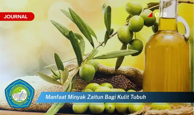 manfaat minyak zaitun bagi kulit tubuh