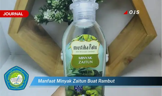 manfaat minyak zaitun buat rambut