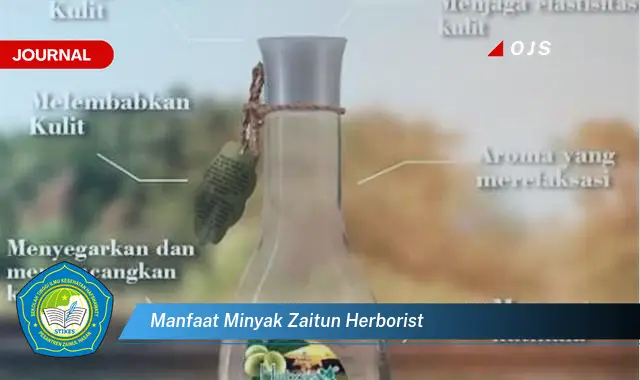 manfaat minyak zaitun herborist