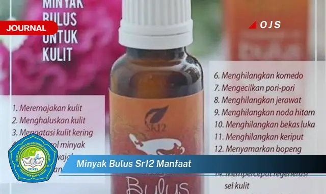 minyak bulus sr12 manfaat