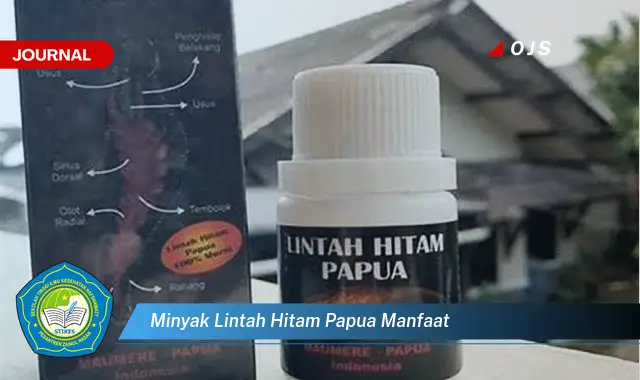 minyak lintah hitam papua manfaat
