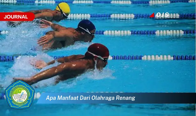 apa manfaat dari olahraga renang