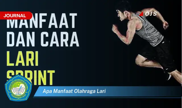 apa manfaat olahraga lari apa manfaat olahraga lari