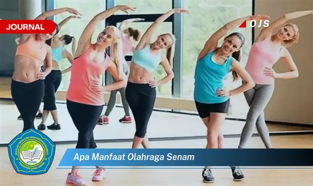 apa manfaat olahraga senam apa manfaat olahraga senam