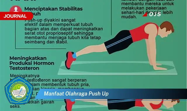 manfaat olahraga push up