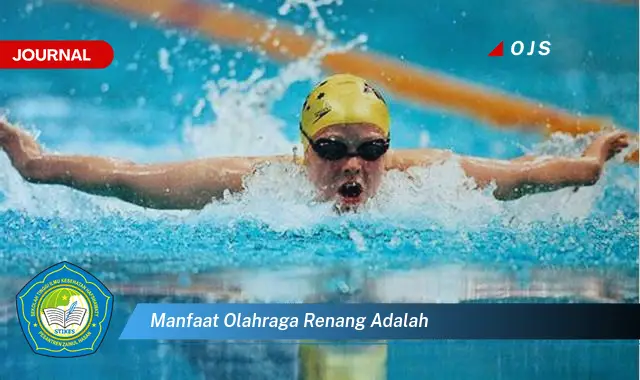 manfaat olahraga renang adalah