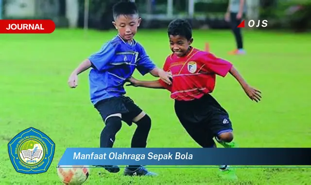 manfaat olahraga sepak bola manfaat olahraga sepak bola