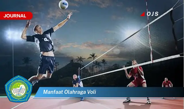 manfaat olahraga voli manfaat olahraga voli
