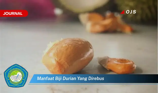 manfaat biji durian yang direbus