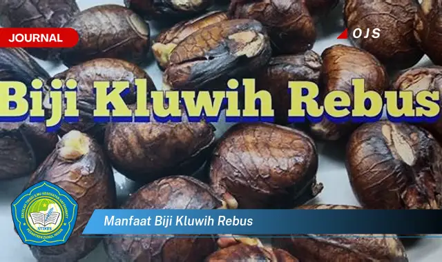 manfaat biji kluwih rebus