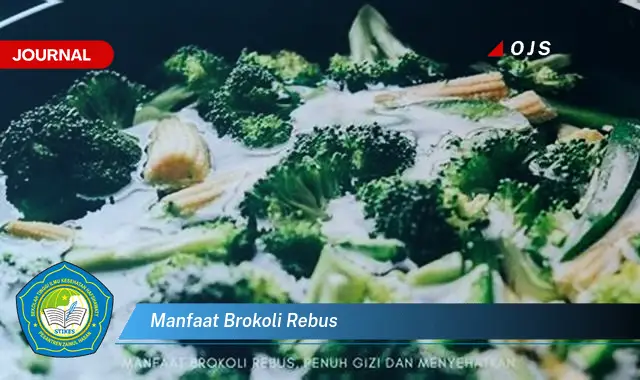 manfaat brokoli rebus