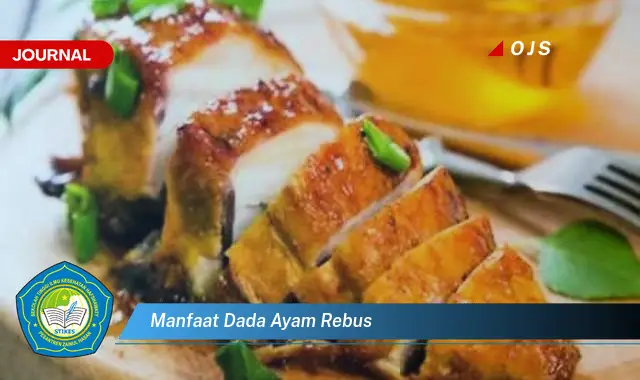 manfaat dada ayam rebus