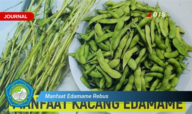 manfaat edamame rebus