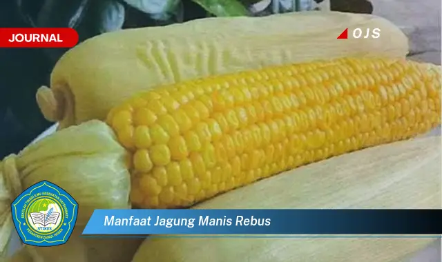 manfaat jagung manis rebus