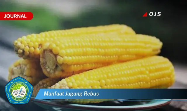 manfaat jagung rebus