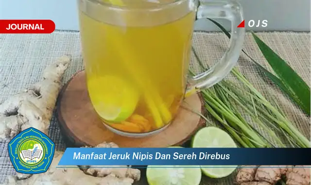 manfaat jeruk nipis dan sereh direbus