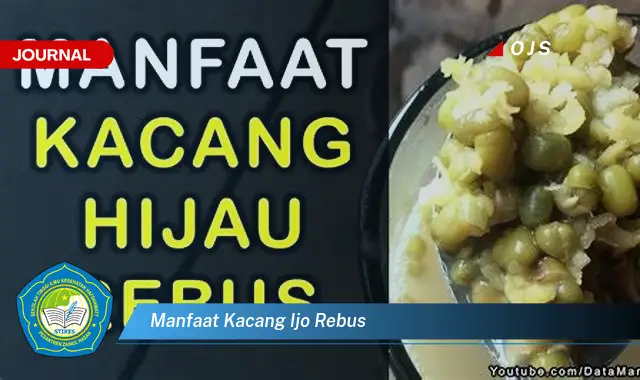 manfaat kacang ijo rebus