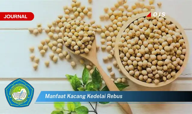 manfaat kacang kedelai rebus