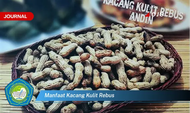 manfaat kacang kulit rebus